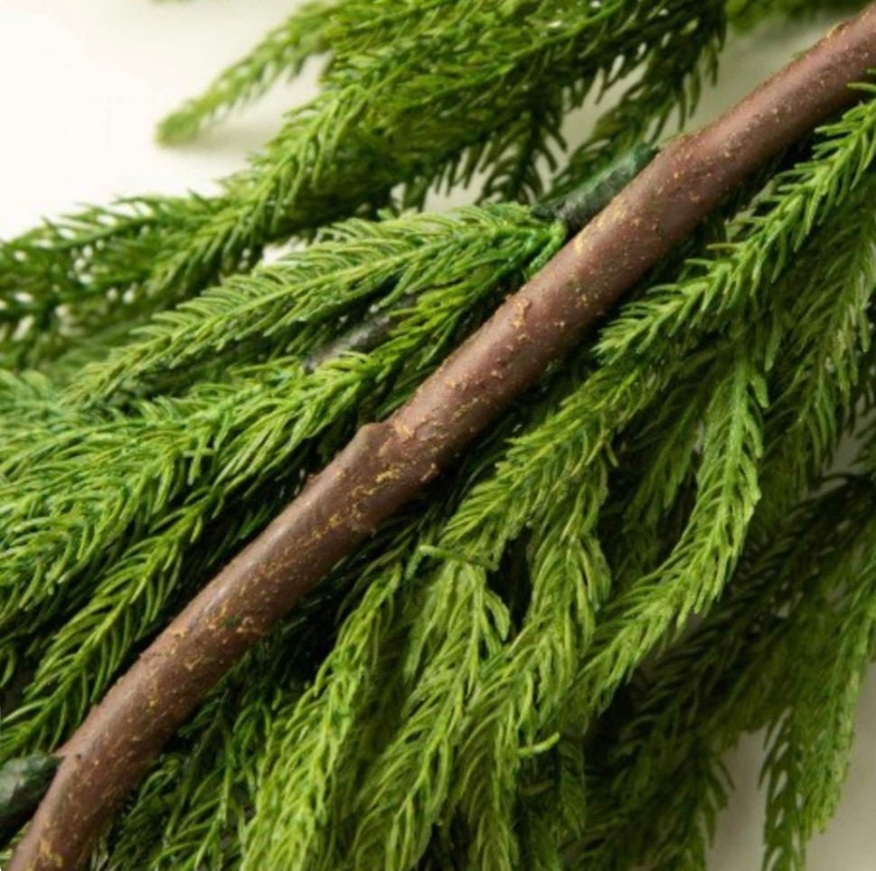 5’ Norfolk Pine Garland, Norfolk Garland, Real Touch Pine Garland, Pine Garland, Christmas Mantle Garland