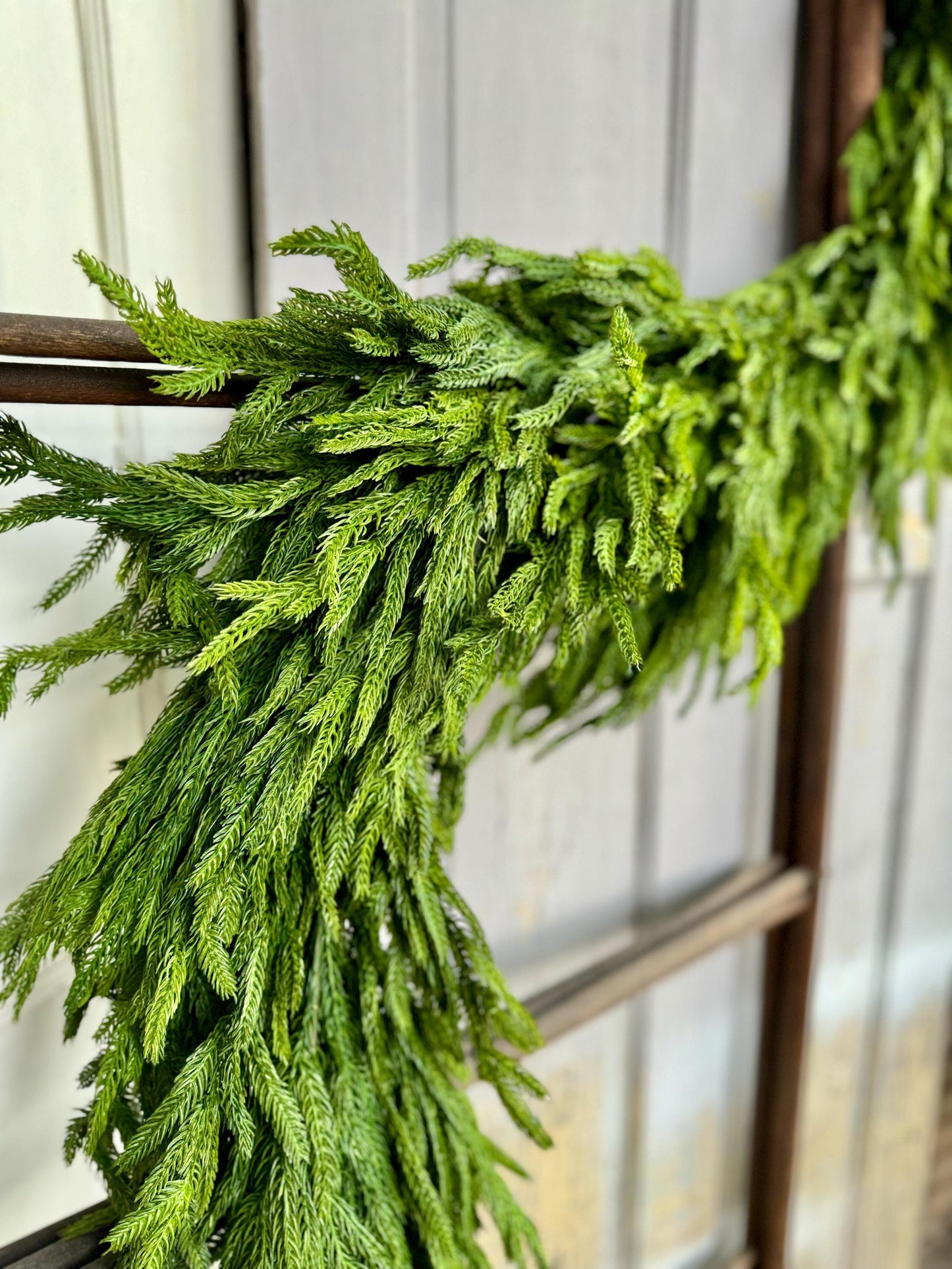NEW! 6’ DELUXE Norfolk Pine Garland, Extra Thick Real Touch Pine Garland, Garland for Mantle, Christmas Mantle Garland