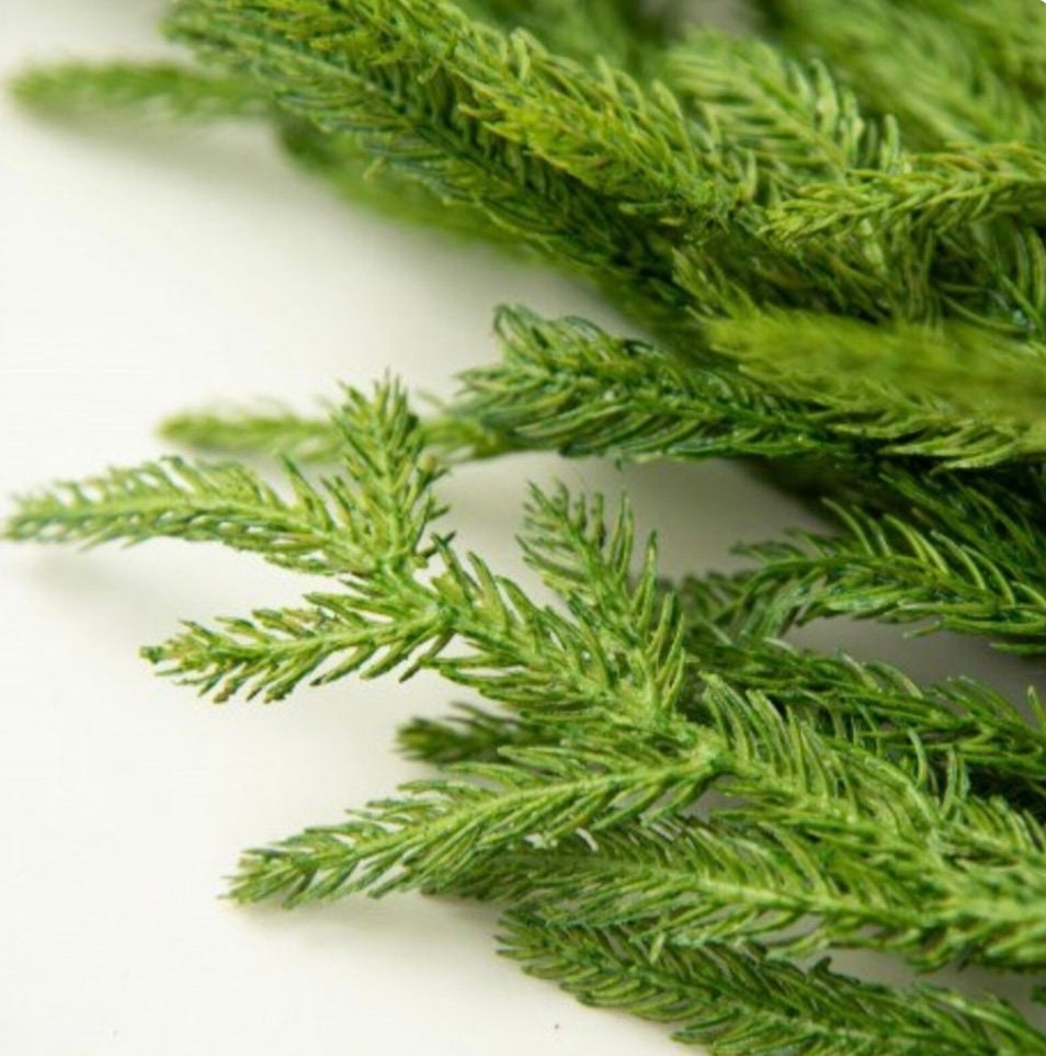 5’ Norfolk Pine Garland, Norfolk Garland, Real Touch Pine Garland, Pine Garland, Christmas Mantle Garland