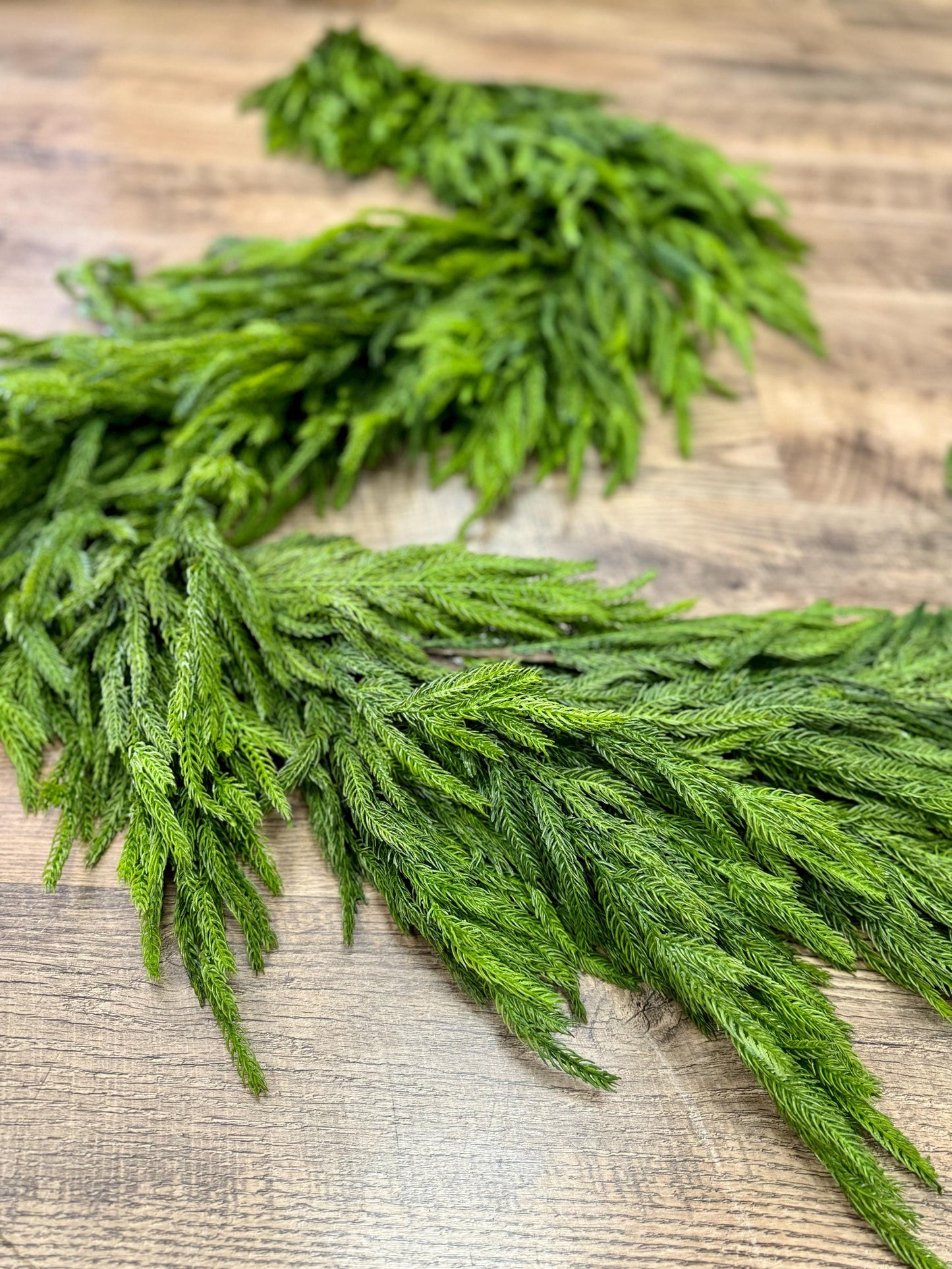 NEW! 6’ DELUXE Norfolk Pine Garland, Extra Thick Real Touch Pine Garland, Garland for Mantle, Christmas Mantle Garland