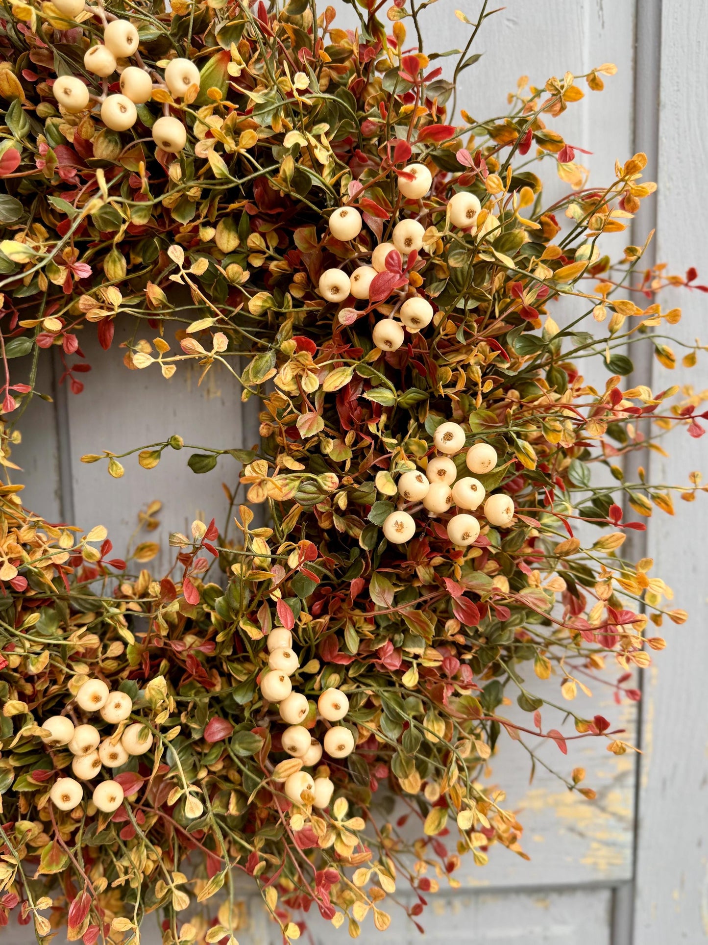 Fall Vine Wreath for Front Door, Bog Pimpernel Wreath, Autumn Wreath, Vine and Berry Wreath, Fall Wreath, Rustic Wreath