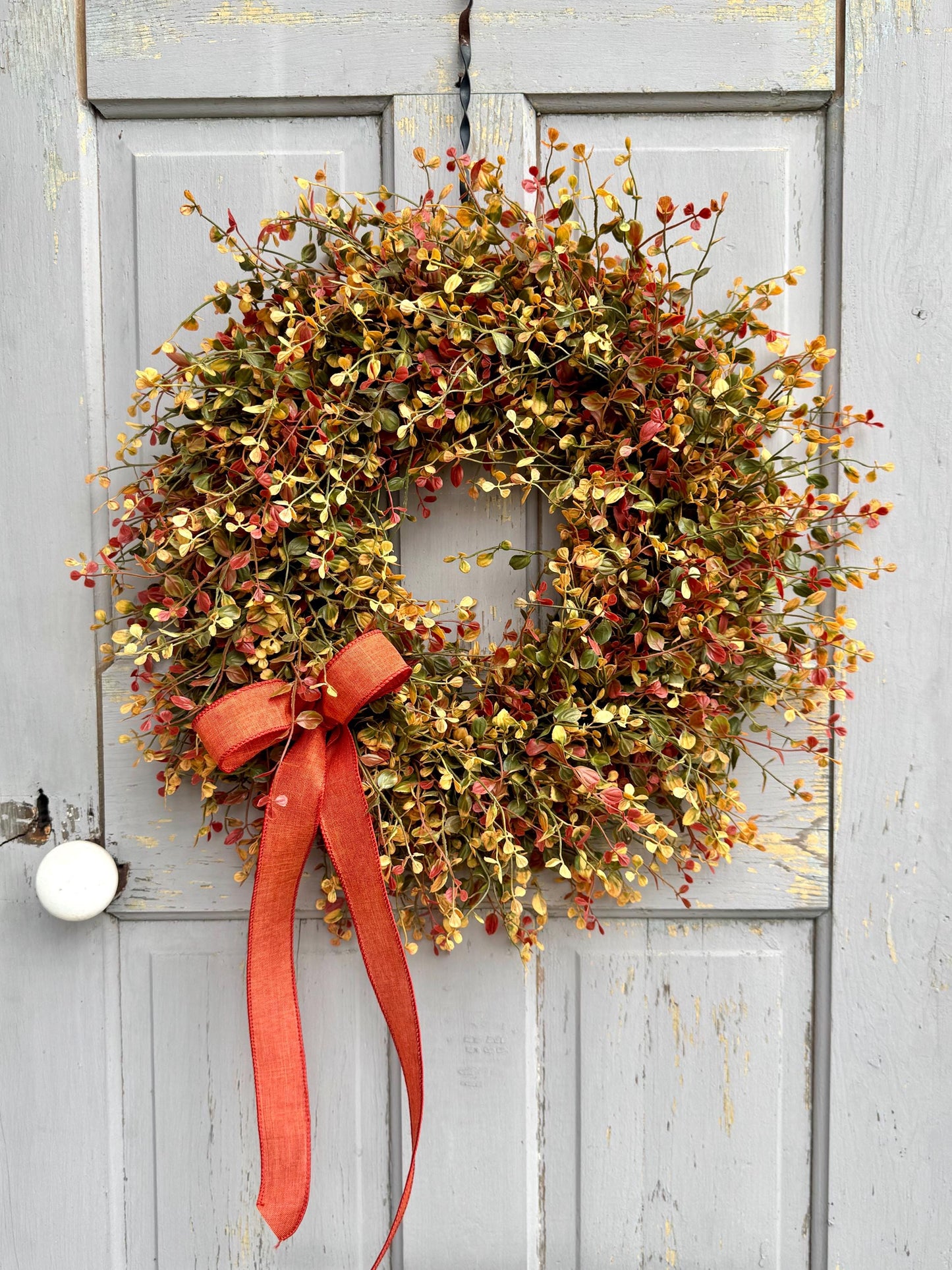 Fall Vine Wreath for Front Door, Bog Pimpernel Wreath, Autumn Wreath, Vine and Berry Wreath, Fall Wreath, Rustic Wreath